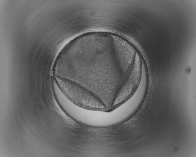 X0000114651380200911101311