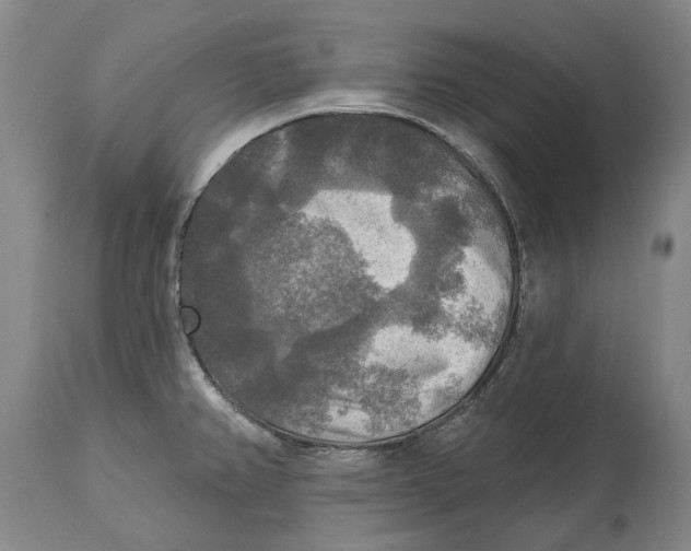 X0000114651382200911101311