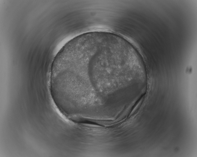 X0000114651383200911101311