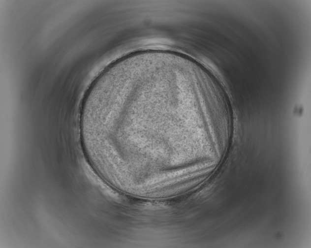 X0000114651384200911101311