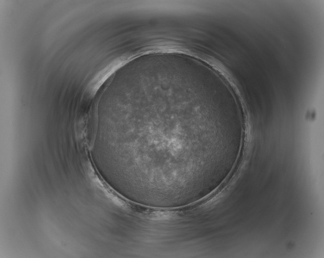 X0000114651385200911101311