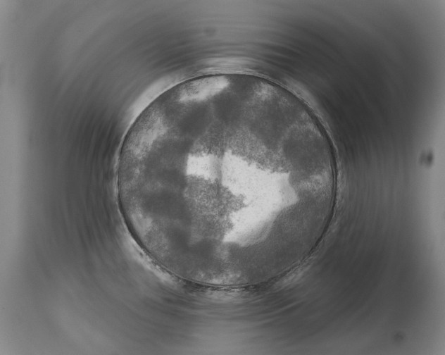 X0000114651386200911101311