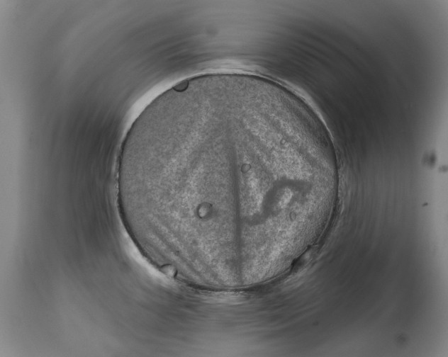 X0000114651387200911101311