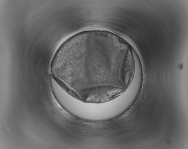 X0000114651388200911101311