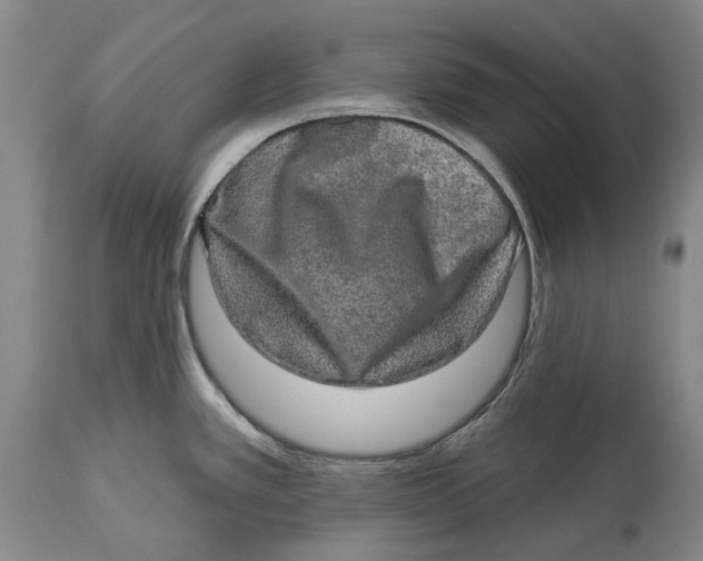 X0000114651389200911101311