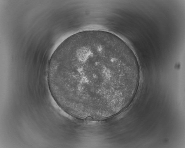 X0000114651390200911101311