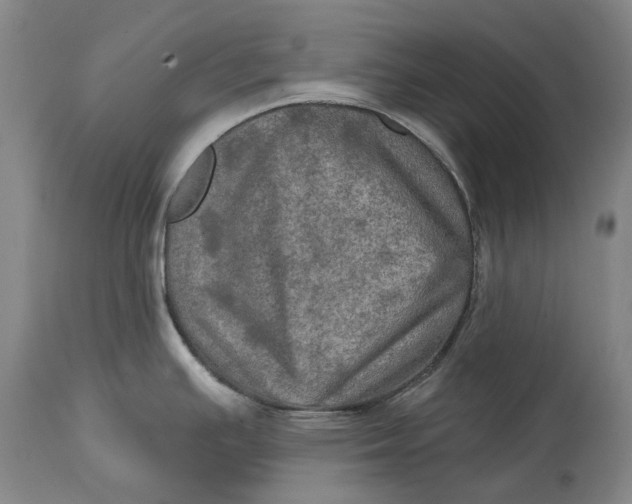 X0000114651391200911101311