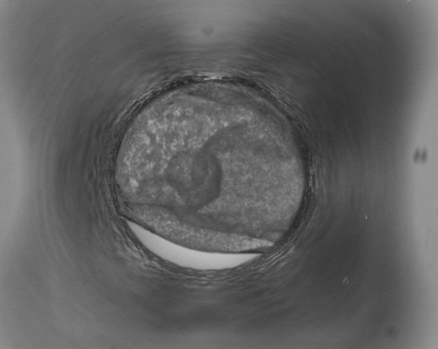 X0000114651393200911101310