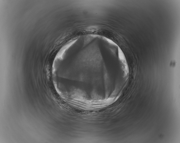 X0000114651394200911101310