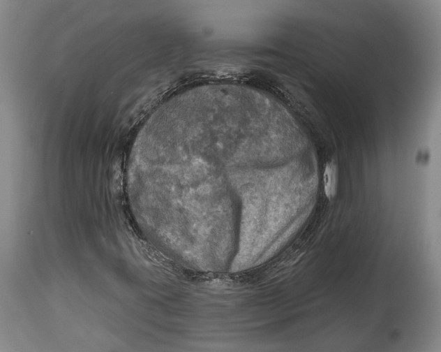 X0000114651395200911101310