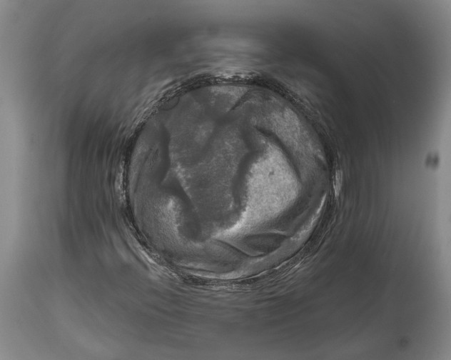 X0000114651396200911101310