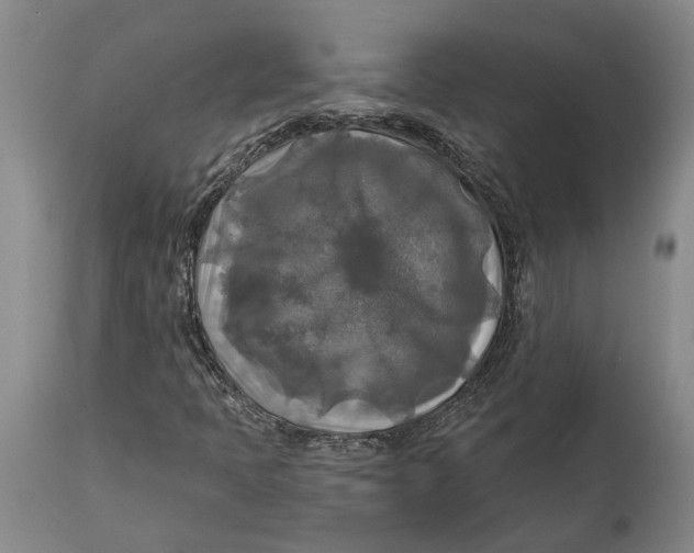 X0000114651397200911101310