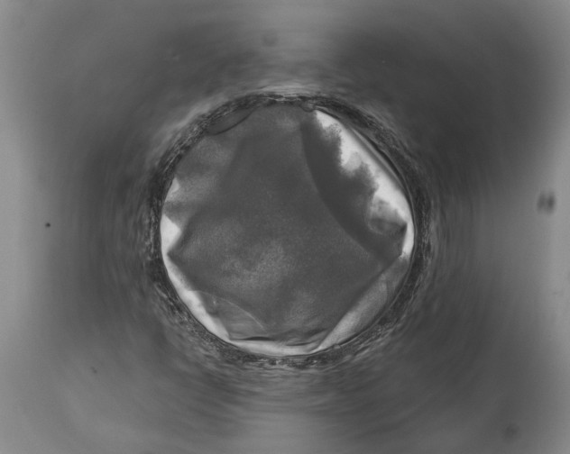 X0000114651398200911101310