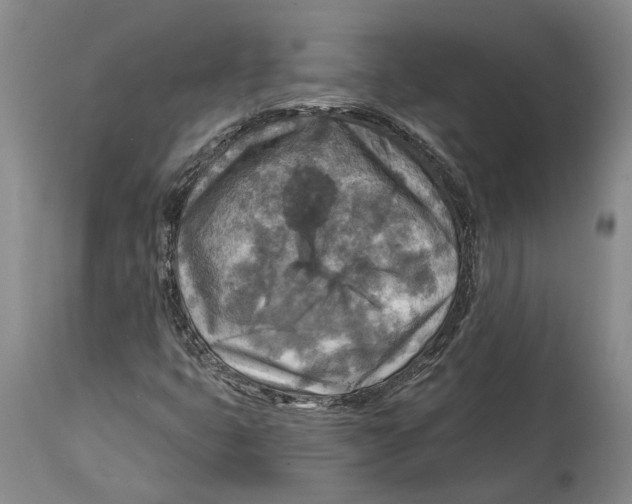 X0000114651399200911101310