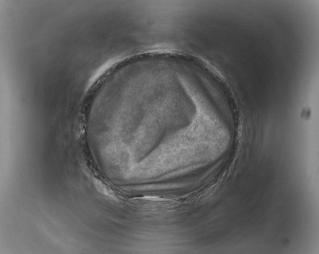 X0000114651400200911101310