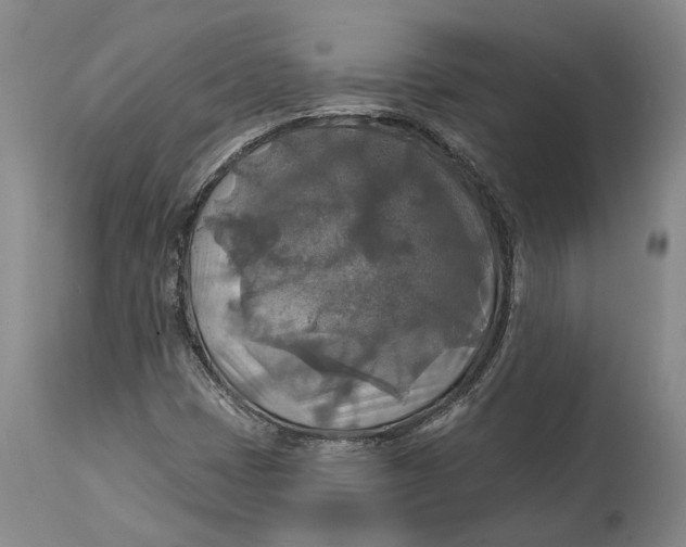 X0000114651401200911101310