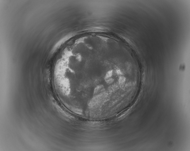 X0000114651402200911101310