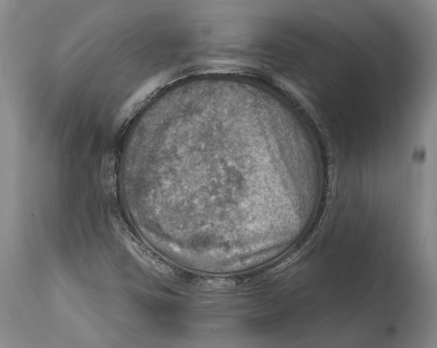 X0000114651403200911101310