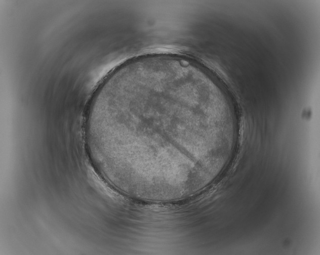 X0000114651404200911101310