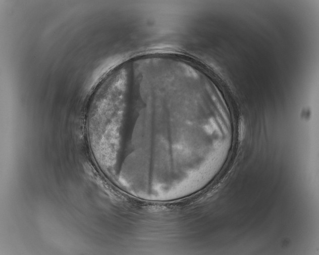 X0000114651405200911101310