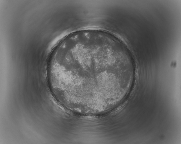 X0000114651406200911101310