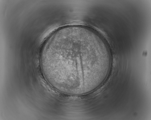 X0000114651407200911101310