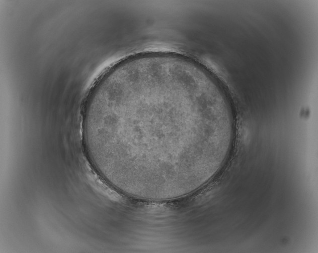 X0000114651408200911101310