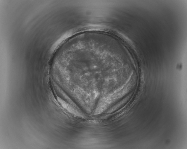 X0000114651411200911101310