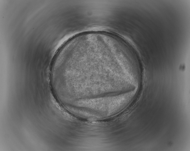 X0000114651412200911101311