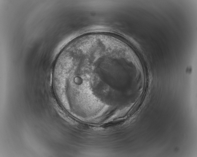 X0000114651413200911101311