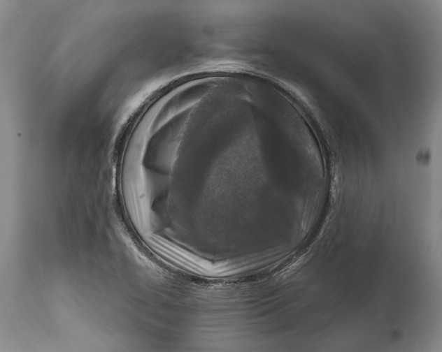 X0000114651414200911101311