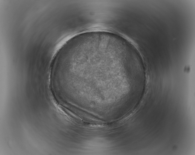 X0000114651415200911101311