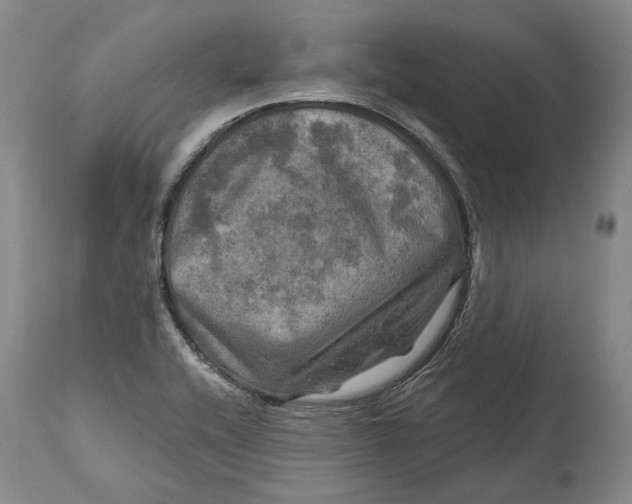 X0000114651416200911101311