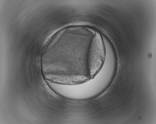 X0000114651417200911101311