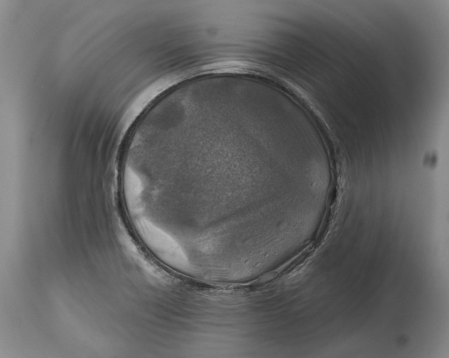 X0000114651418200911101311