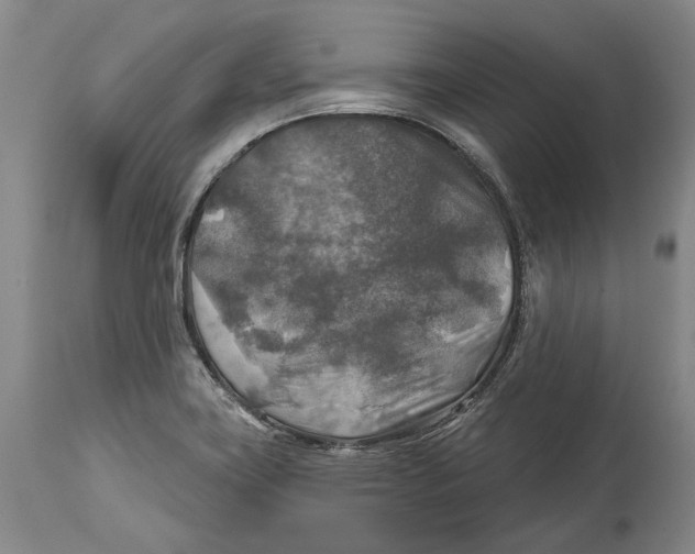 X0000114651419200911101311