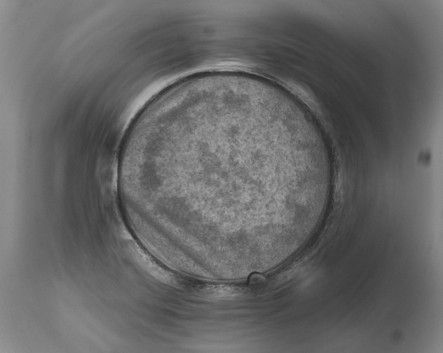 X0000114651420200911101311