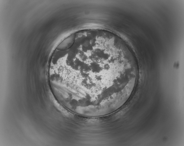 X0000114651421200911101311