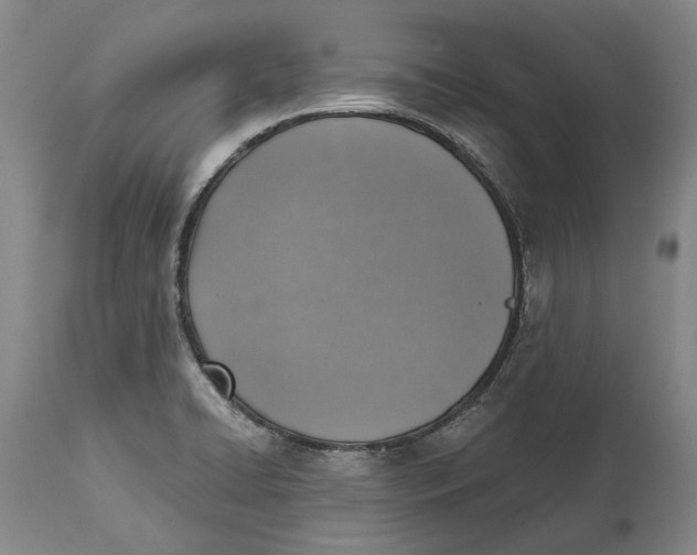 X0000114651422200911101311