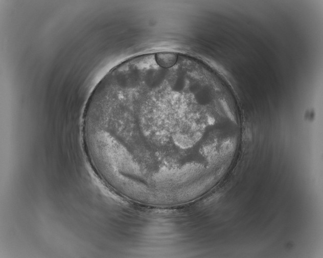 X0000114651423200911101311