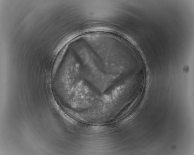 X0000114651425200911101311