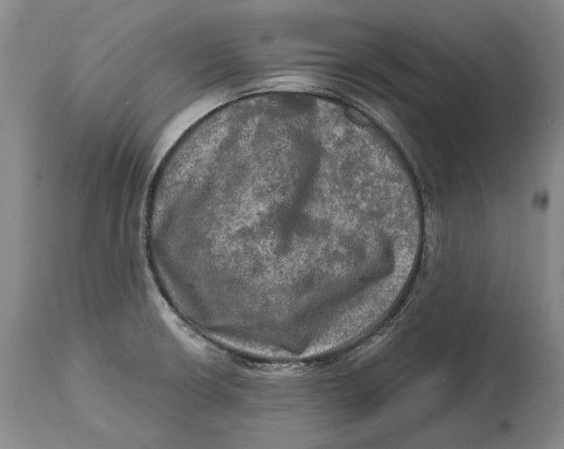 X0000114651426200911101311