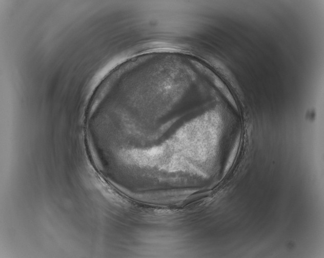 X0000114651427200911101311