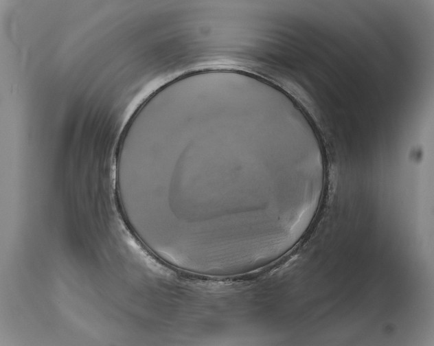 X0000114651428200911101311