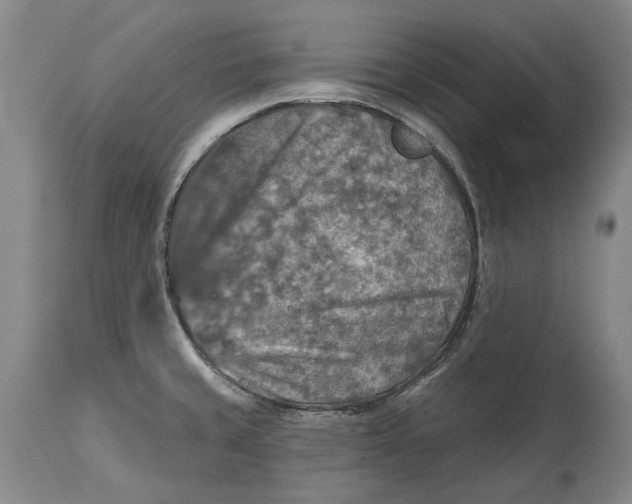 X0000114651429200911101311