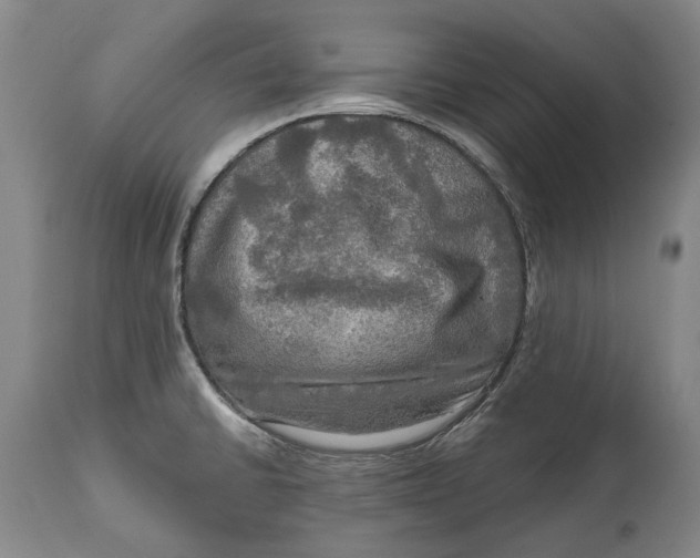 X0000114651430200911101311