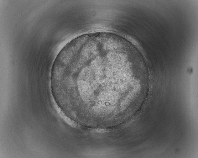 X0000114651431200911101311