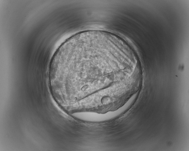 X0000114651432200911101311