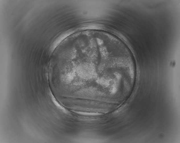 X0000114651433200911101311