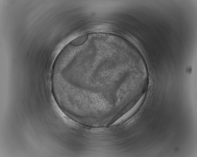 X0000114651434200911101311